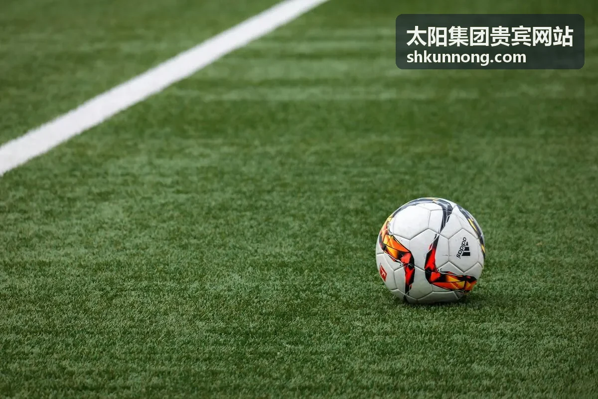 太阳集团贵宾网站服务流程示意图